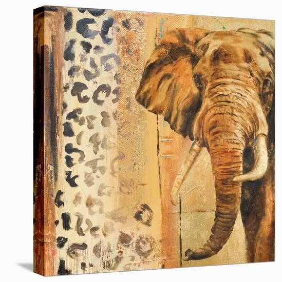 New Safari on Gold Square IV-Patricia Pinto-Stretched Canvas