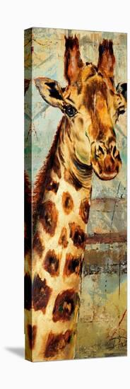 New Safari on Teal I-Patricia Pinto-Stretched Canvas