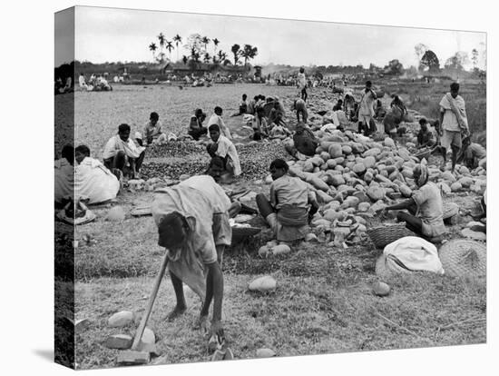 New Taxi-Strip Foundations are Laid by Natives of Assam Valley, Doubling China-India Air Traffic-William Vandivert-Premier Image Canvas