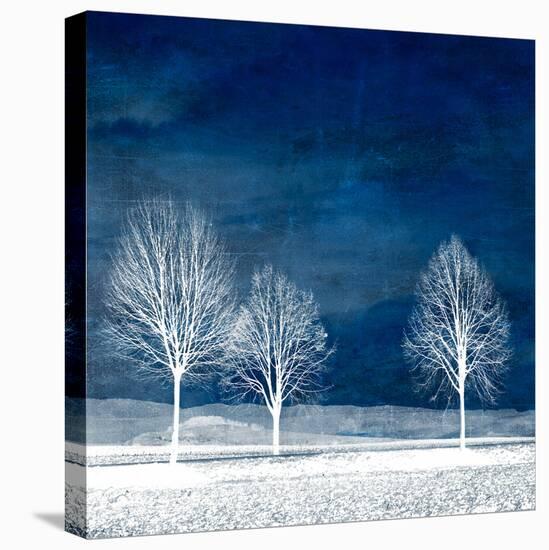 New World-Philippe Sainte-Laudy-Stretched Canvas