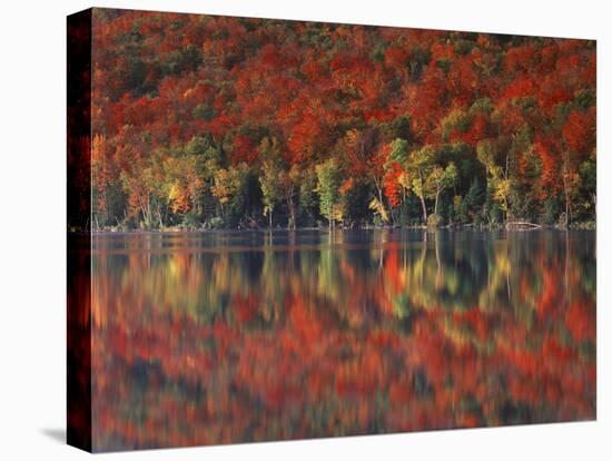 New York, Adirondack Mts, Fall and Fog Reflecting in Heart Lake-Christopher Talbot Frank-Premier Image Canvas