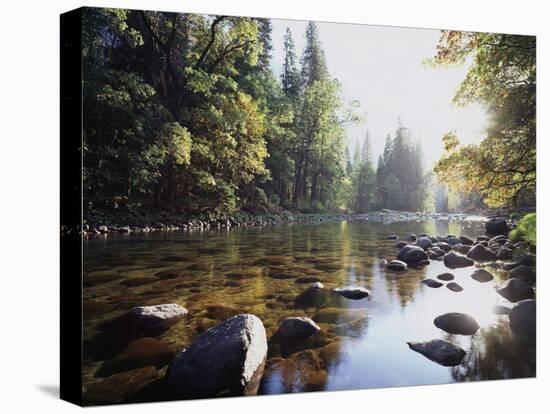 New York, Adirondack Mts, Fall Trees Alond a Stream-Christopher Talbot Frank-Premier Image Canvas