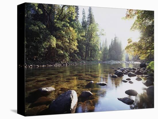 New York, Adirondack Mts, Fall Trees Alond a Stream-Christopher Talbot Frank-Premier Image Canvas