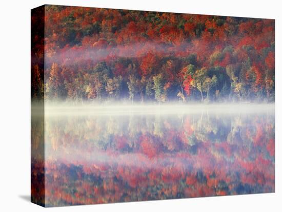 New York, Adirondack Mts, Sugar Maples and Fog at Heart Lake in Autumn-Christopher Talbot Frank-Premier Image Canvas