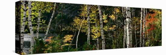 New York, Adirondacks, Autumn at Chapel Pond-null-Premier Image Canvas