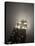 New York City, Manhattan, Empire State Building on a Rainy Evening- Low Angle View, USA-Gavin Hellier-Premier Image Canvas