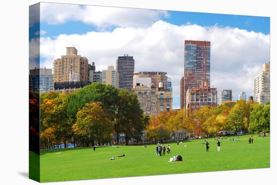 New York City Manhattan Skyline Panorama Viewed from Central Park with Cloud and Blue Sky and Peopl-Songquan Deng-Premier Image Canvas