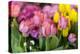 New York City, NY, USA. Floral Displays for Spring-Julien McRoberts-Premier Image Canvas