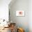 New York - Compass - Coral - Coastal Icon-Lantern Press-Stretched Canvas displayed on a wall