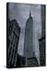 New York II-Paul Duncan-Stretched Canvas