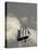 New York, Long Island, Greenport, Tall Ship Weather Vane, USA-Walter Bibikow-Premier Image Canvas