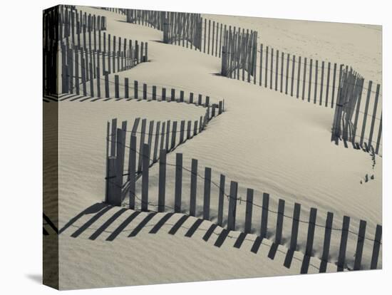 New York, Long Island, the Hamptons, Westhampton Beach, Beach Erosion Fence, USA-Walter Bibikow-Premier Image Canvas