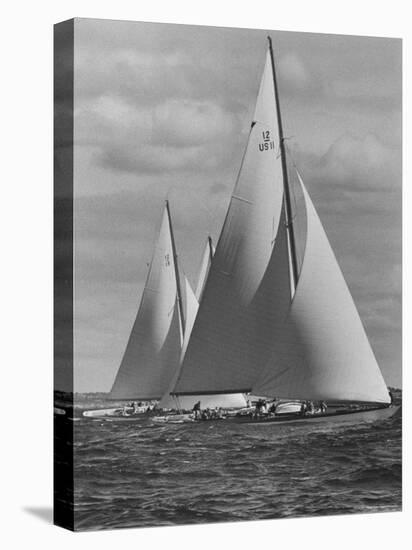 New York Yacht Club Races-Walter Sanders-Premier Image Canvas
