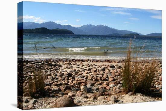 New Zealand, Fjordland National Park, Lake Manapouri-Catharina Lux-Premier Image Canvas