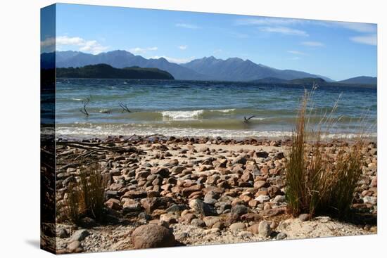New Zealand, Fjordland National Park, Lake Manapouri-Catharina Lux-Premier Image Canvas