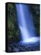 New Zealand, North Island, Dawson Falls, Waterfall-Thonig-Premier Image Canvas