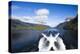 New Zealand's Doubtful Sound, Ferry Crossing Lake Manapouri-Micah Wright-Premier Image Canvas