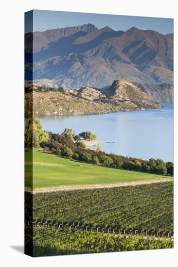 New Zealand, South Island, Otago, Wanaka, vineyard on Lake Wanaka-Walter Bibikow-Premier Image Canvas