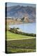 New Zealand, South Island, Otago, Wanaka, vineyard on Lake Wanaka-Walter Bibikow-Premier Image Canvas