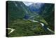 New Zealand, South Island, Te Wahipounamu, Fiordland National Park, Milford Track, River Arthur-null-Premier Image Canvas