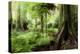 New Zealand Tropical Forest Jungle-STILLFX-Premier Image Canvas