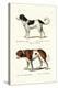 Newfoundland Dog, 1824-Karl Joseph Brodtmann-Premier Image Canvas