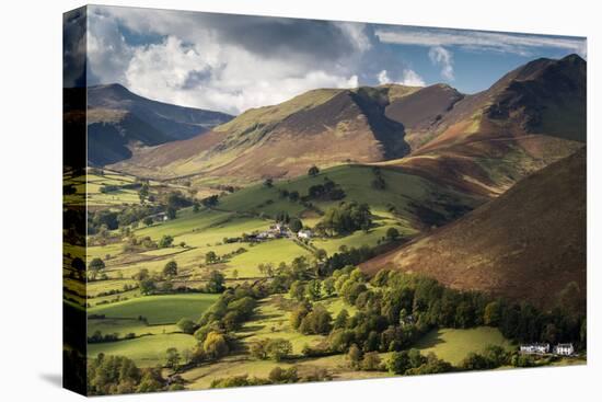 Newlands Valley and Causey Pike, Lake District, Cumbria, UK-Ross Hoddinott-Premier Image Canvas