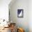 Newport, Rhode Island, Sailboat Graphics-null-Stretched Canvas displayed on a wall