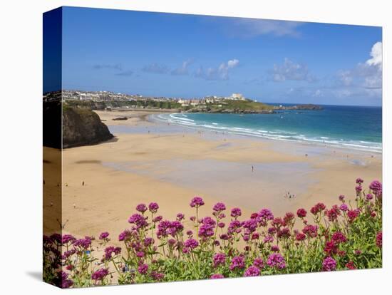 Newquay Beach with Valerian in Foreground, Cornwall, England, United Kingdom, Europe-Neale Clark-Premier Image Canvas