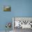 Newton Vineyard, Napa Valley, California, Usa-Janis Miglavs-Premier Image Canvas displayed on a wall