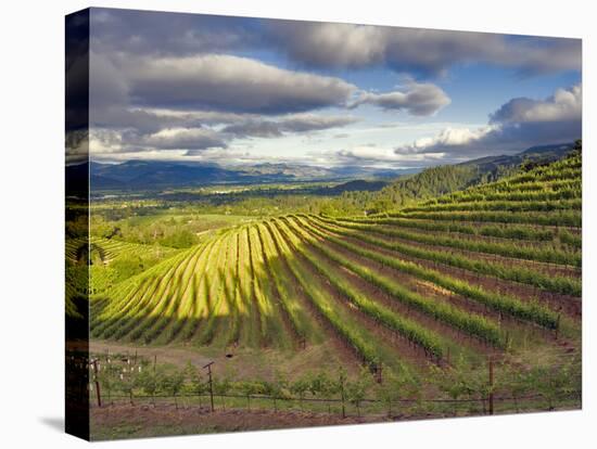Newton Vineyard, Napa Valley, California, Usa-Janis Miglavs-Premier Image Canvas