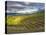 Newton Vineyard, Napa Valley, California, Usa-Janis Miglavs-Premier Image Canvas