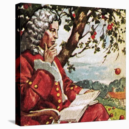 Newton Watching Apples Fall-English School-Premier Image Canvas