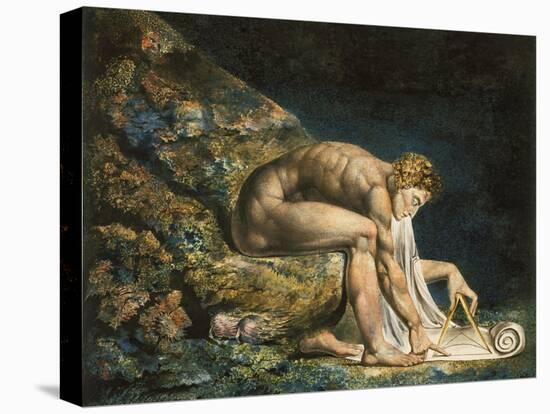Newton-William Blake-Premier Image Canvas