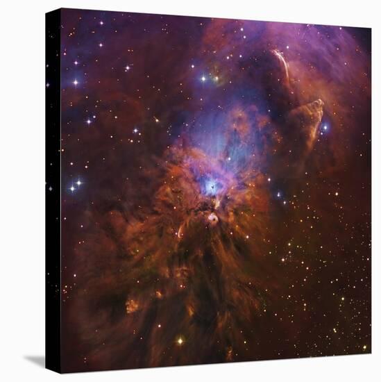 Ngc 1999, Bright Reflection Nebula in Orion-null-Premier Image Canvas