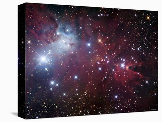 NGC 2264, the Cone Nebula Region-Stocktrek Images-Premier Image Canvas