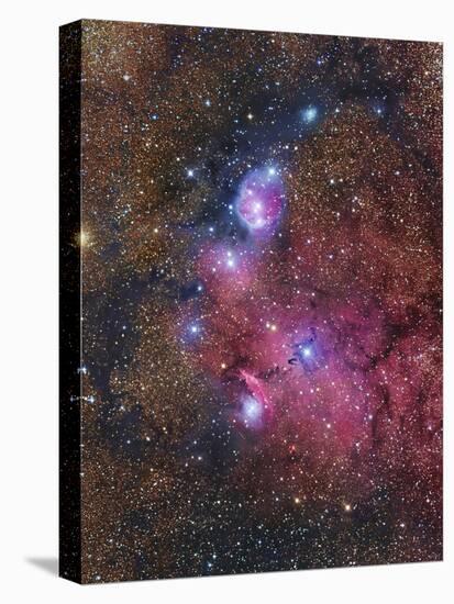 Ngc 6559 Emission and Reflection Nebulosity in Sagittarius-null-Premier Image Canvas