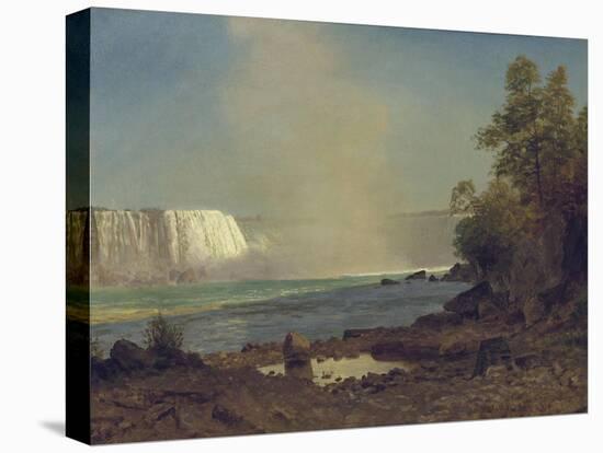 Niagara Falls, 1863-Albert Bierstadt-Premier Image Canvas
