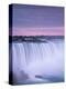 Niagara Falls, Ontario, Canada-Michele Falzone-Premier Image Canvas