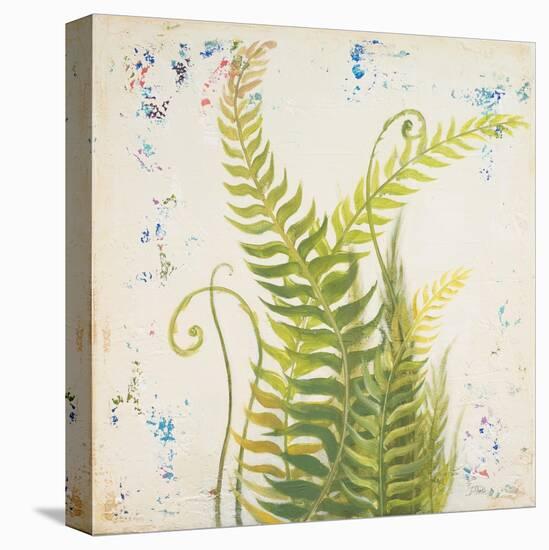 Nice Ferns I-Patricia Pinto-Stretched Canvas