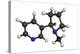 Nicotine Molecule-Friedrich Saurer-Premier Image Canvas