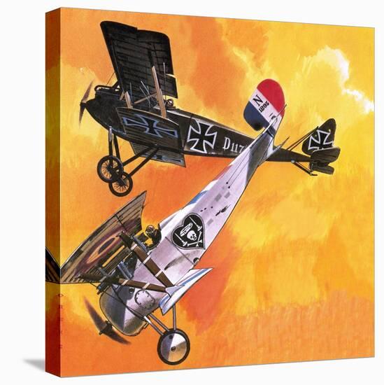 Nieuport 24 Bis-Wilf Hardy-Premier Image Canvas