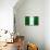 Nigeria Flag Design with Wood Patterning - Flags of the World Series-Philippe Hugonnard-Stretched Canvas displayed on a wall