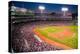 Night baseball game at historic Fenway Park, Boston Red Sox, Boston, Ma., USA, May 20, 2010, Red...-null-Premier Image Canvas