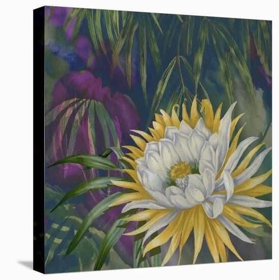 Night Bloom-Bill Jackson-Premier Image Canvas