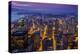 Night Downtown Skyline, Seattle, Washington, Usa-Stefano Politi Markovina-Premier Image Canvas