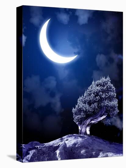 Night Fairy-Tale. Bright Moon and Tree-frenta-Premier Image Canvas