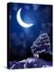 Night Fairy-Tale. Bright Moon and Tree-frenta-Premier Image Canvas