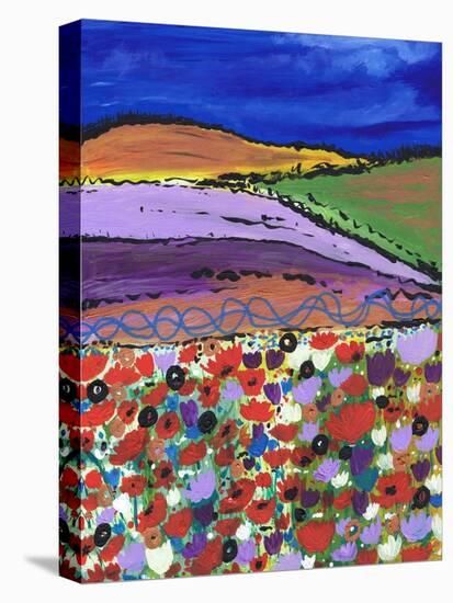 Night Falling on Aboyne-Caroline Duncan-Premier Image Canvas