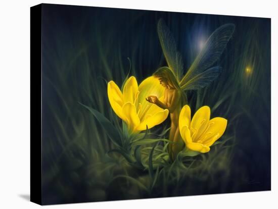 Night Harvest - N-Kirk Reinert-Premier Image Canvas